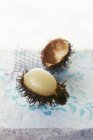 Partly peeled Rambutan — Stock Photo