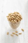 Glass of pine nuts — Stock Photo