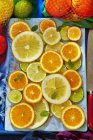 Цитрусові фрукти скибочки — стокове фото