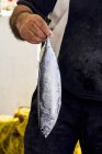 Fishmonger holding mackerel — Stock Photo
