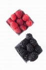 Blackberries and raspberries in bowls — Stock Photo