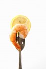 Closeup view of prawn and a slice of lemon on a fork — Stock Photo