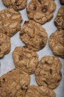 Chocolate chip pecan nut cookies — Stock Photo
