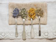 Draufsicht auf getrockneten Lavendel, Mädesüß, Ackerland und Ringelblume auf Silberlöffeln — Stockfoto