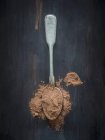 Top view of cocoa powder on a spoon — Stock Photo