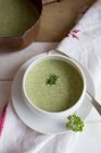 Крем-суп з брокколі в білій мисці — стокове фото