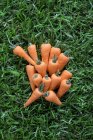 Sugar carrots on grass — Stock Photo