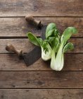 Bok choy with a mezzaluna on a wooden surface — Stock Photo