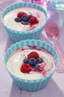 Йогурт з літніми ягодами — стокове фото