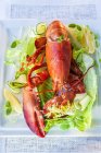Vue rapprochée du homard avec salade et tranches de citron sur assiette carrée — Photo de stock