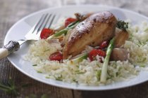Chicken breast with rice — Stock Photo