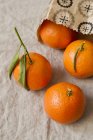 Свежие апельсины с бумажным пакетом — стоковое фото