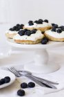 Tartlets with cream cheese and blueberries — Stock Photo