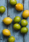 Fresh Lemons and limes — Stock Photo