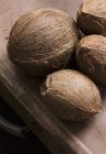 Cocos frescos maduros - foto de stock