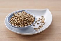 Sunflower seeds in dish — Stock Photo