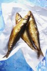 Arenques ahumados pescado - foto de stock