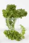 Wasabina cabbage leaves in glass — Stock Photo