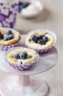 Blueberry cheesecake muffins — Stock Photo