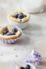 Two blueberry cheesecake muffins — Stock Photo