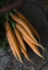 Zanahorias en cesta de alambre - foto de stock