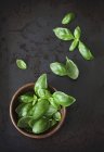 Basil leaves in wooden bowl — Stock Photo