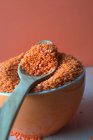 Vista de perto de lentilhas vermelhas em uma tigela com uma colher de madeira — Fotografia de Stock