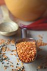 Red lentils in a metal scoop — Stock Photo