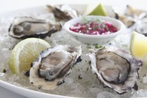 Oysters on ice with lime slices — Stock Photo