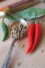 Coriander seeds and chillis — Stock Photo
