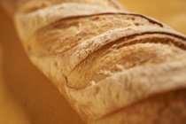 Batard bread from France — Stock Photo