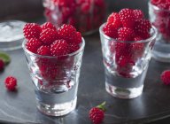 Fresh raspberries in shot glasses — Stock Photo