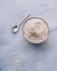 Porcini mushroom salt — Stock Photo