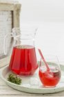 Rhubarb з льодом чай в склянці і глечику — стокове фото