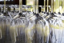Closeup view of rows of upside-down stemmed wine glasses — Stock Photo