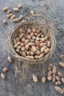 Basket of hazelnuts and acorns — Stock Photo