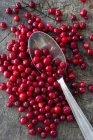 Fresh Lingonberries with spoon — Stock Photo