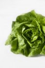 Fresh lettuce head — Stock Photo