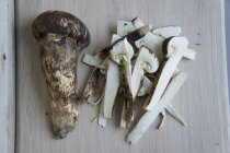 Свежие грибы мацутакэ — стоковое фото