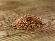 Pilha de sementes de feno-grego — Fotografia de Stock
