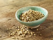 Семена кориандра в блюде — стоковое фото