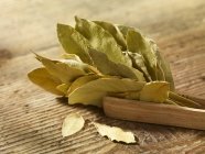 Dried bay leaves — Stock Photo