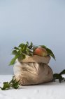Manzanas orgánicas con hojas - foto de stock