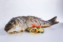 Fried catfish with vegetables — Stock Photo
