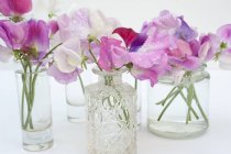 Flores de guisantes dulces en varios jarrones de vidrio - foto de stock