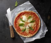 Піца з помідорами та базиліком — стокове фото