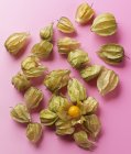 Physalis on a pink surface — Stock Photo