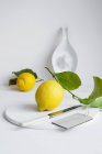Limoni freschi con foglie — Foto stock