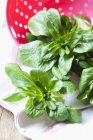 Frischer Feldsalat auf Küchentuch — Stockfoto