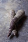 Zwei lila Karotten — Stockfoto